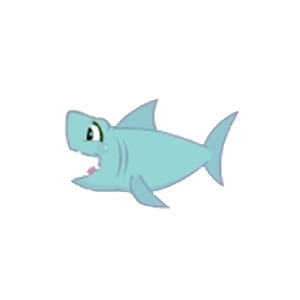 Nash the Baby Shark